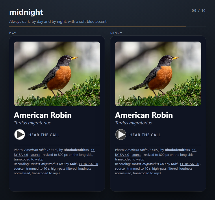 The midnight theme