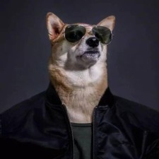 Avatar for Derek X from gravatar.com