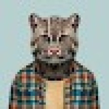 Avatar for Eduardo Almeida from gravatar.com