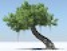 Avatar for Andy Phu from gravatar.com