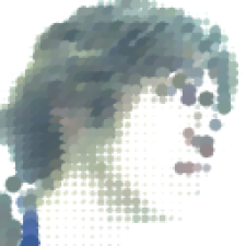 Avatar for shrkwh from gravatar.com