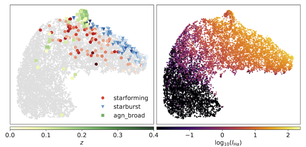 embedding