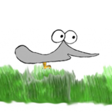 Avatar for SkinnyPigeon from gravatar.com