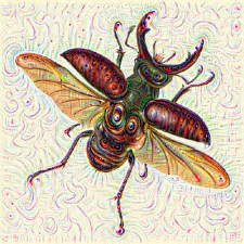 Avatar for Gabriel Araujo from gravatar.com