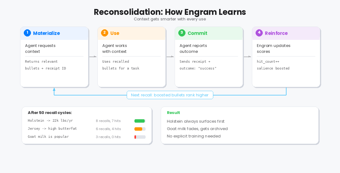 Reconsolidation Loop