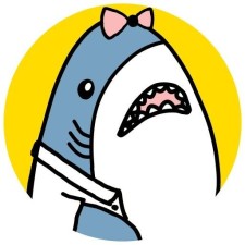 Avatar for shilapi from gravatar.com