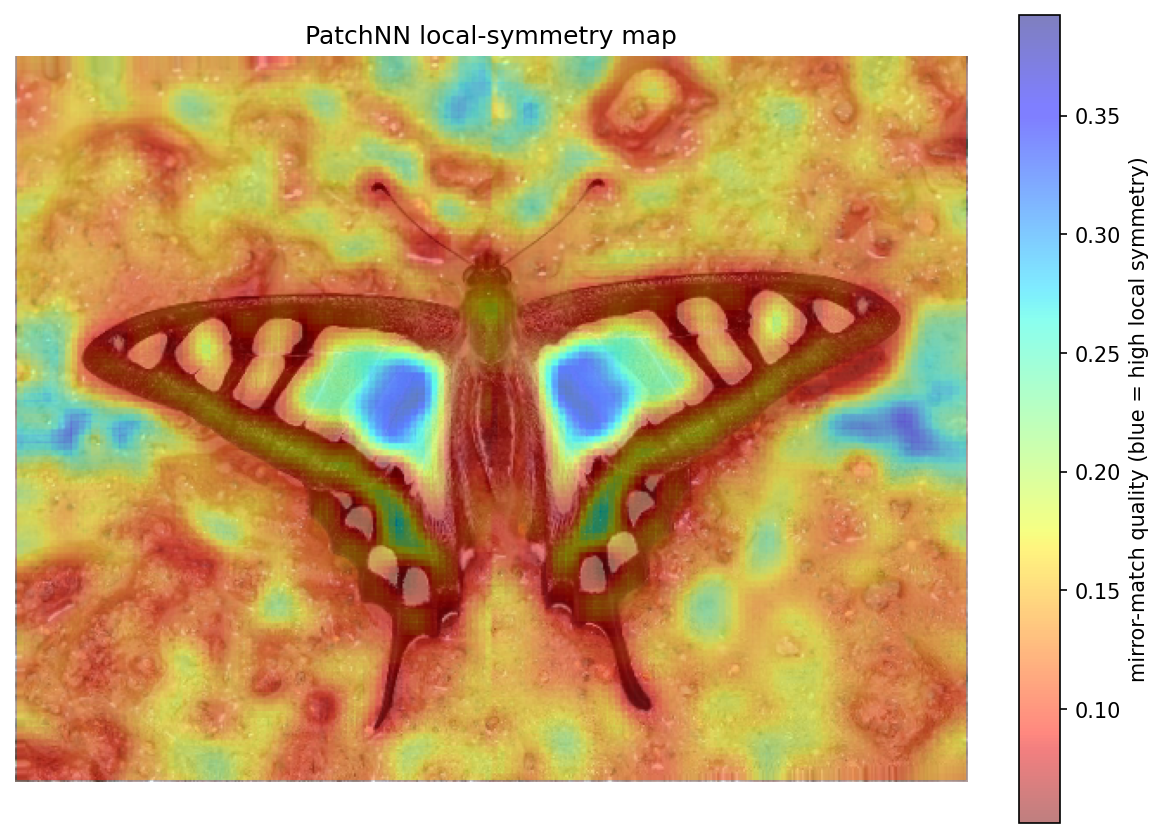 PatchNN local-symmetry map