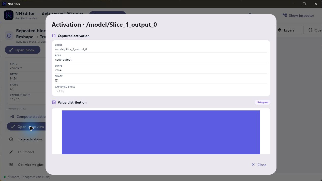 Large activation overlay for a traced DETR tensor