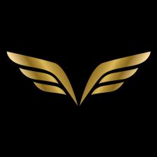 Avatar for Validaus Inc from gravatar.com