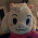 Avatar for iLollek from gravatar.com