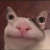 Avatar for Nyetya from gravatar.com