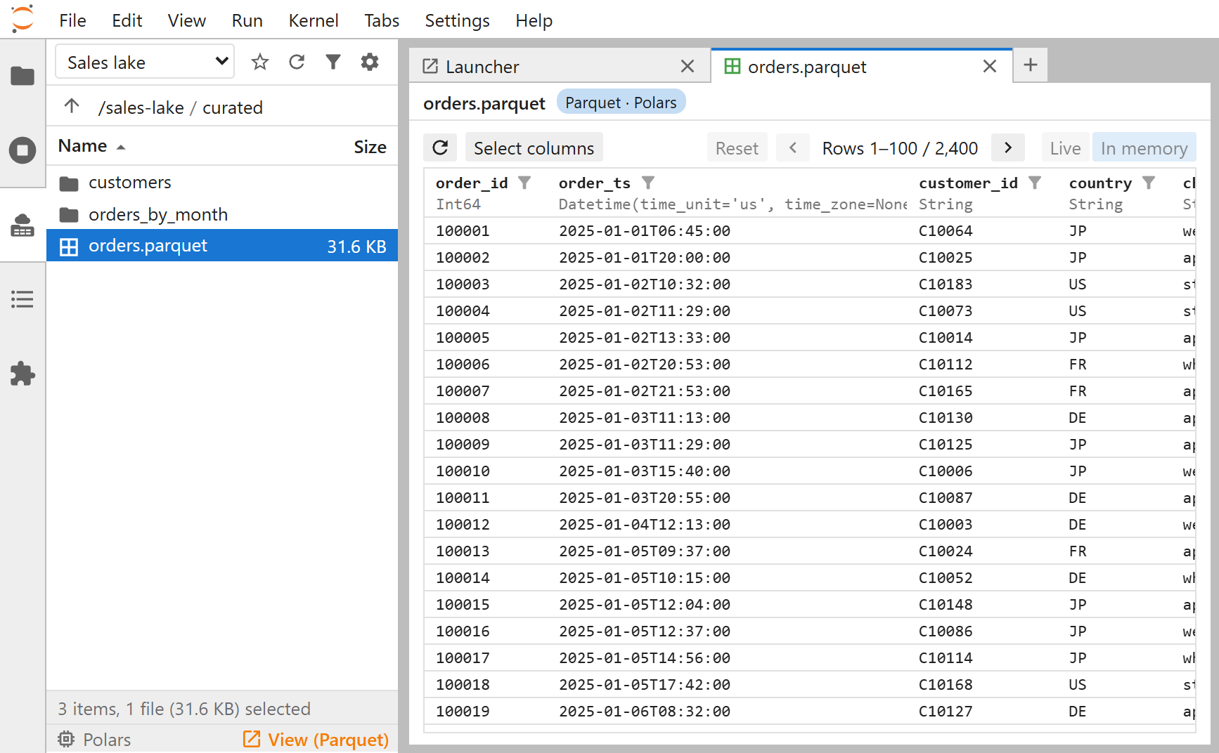 The side panel in JupyterLab's left side bar, a Parquet file selected, beside the tab its View button opened in the data browser