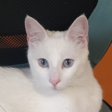 Avatar for J. David Ibáñez from gravatar.com