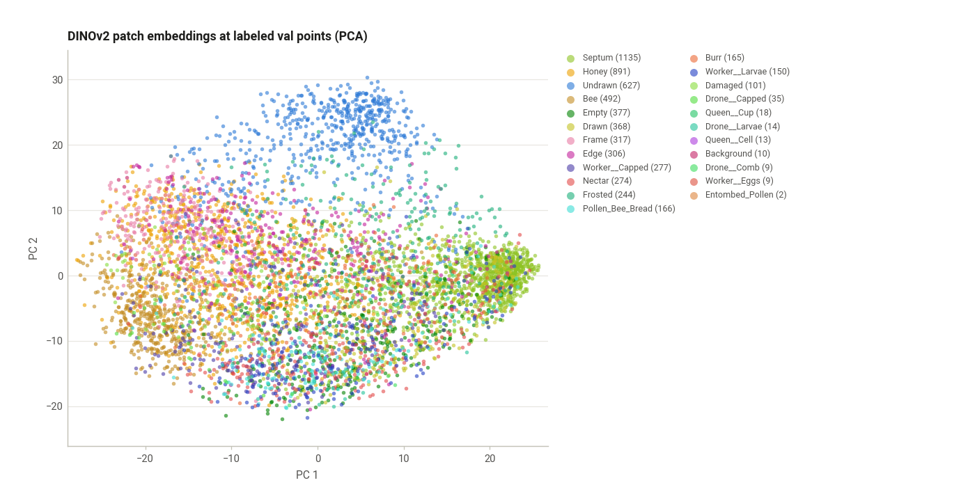 DINOv2 embedding scatter
