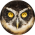 Avatar for SEIAROTg from gravatar.com