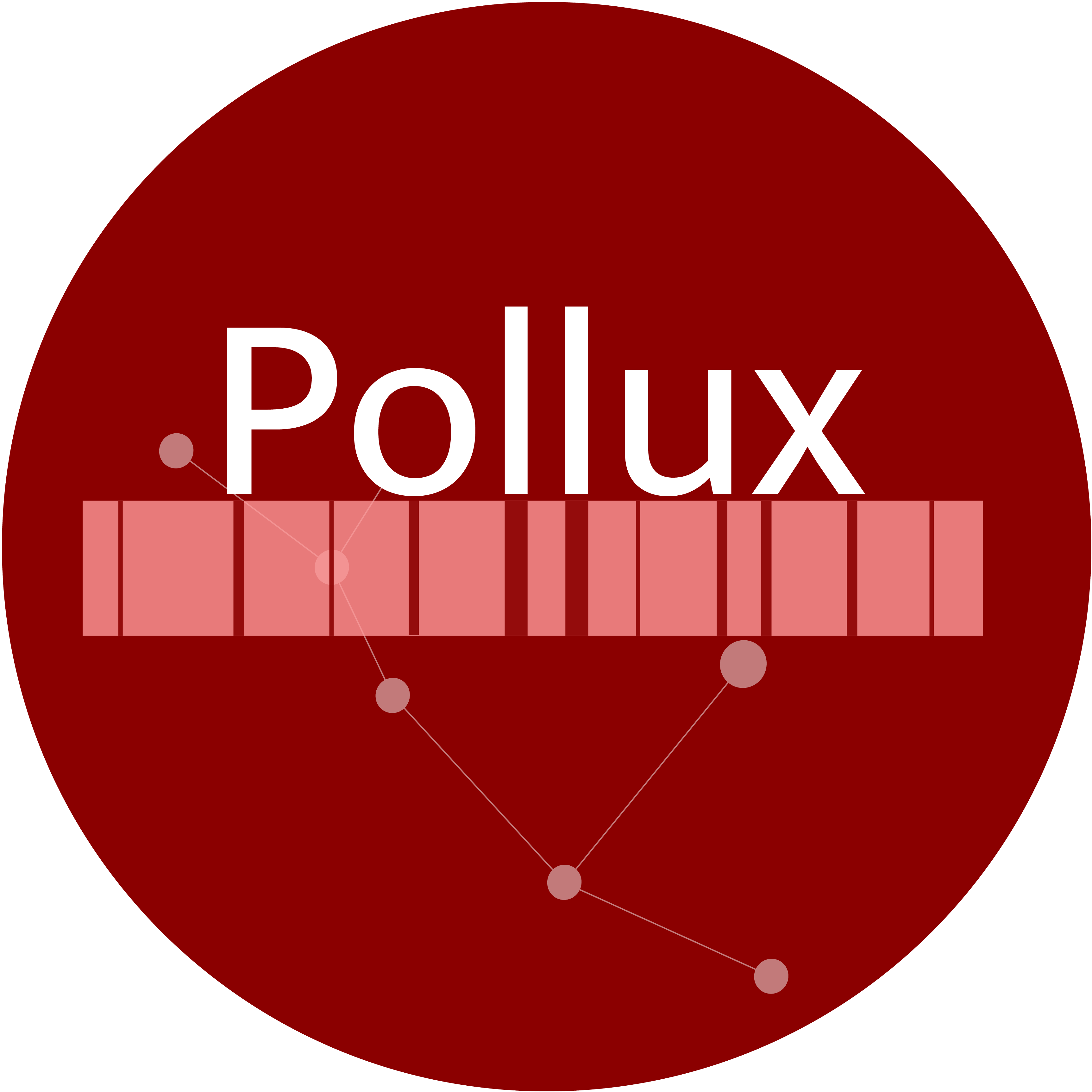 Pollux logo