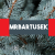 Avatar for MrBartusek from gravatar.com