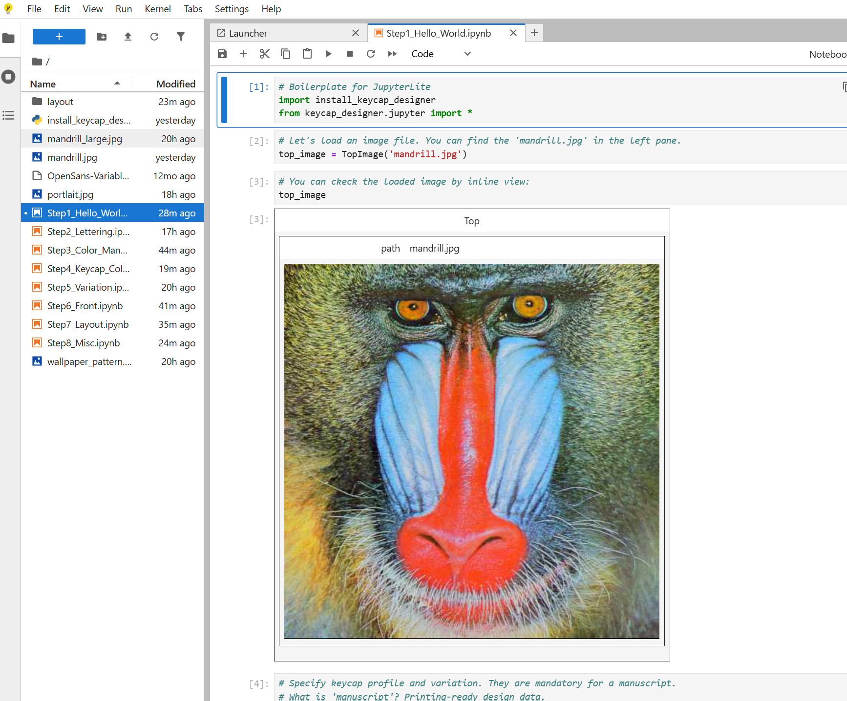 JupyterLite Screenshot