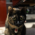 Avatar for Yusuke_Shiki from gravatar.com