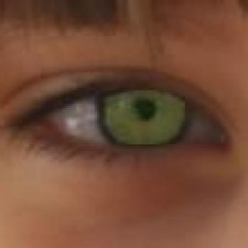 Avatar for Stefan R. from gravatar.com