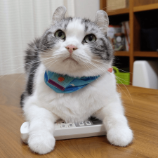 Avatar for Joo from gravatar.com