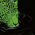Avatar for dfguerrerom from gravatar.com
