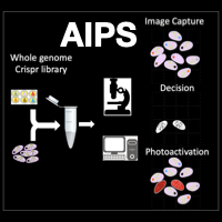 AIPyS Logo