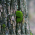 Avatar for phuocphn from gravatar.com