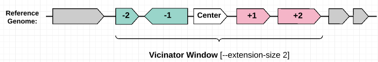 Vicinator Window in Reference Genome
