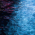 Avatar for bright.lin from gravatar.com
