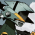 Avatar for ev1l0rd from gravatar.com