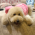 Avatar for BolunHan from gravatar.com