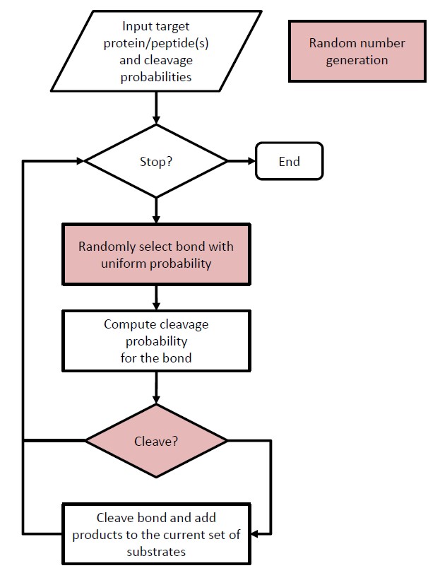 Flow chart of the simulation