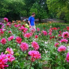 Avatar for mfenwick from gravatar.com