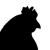 Avatar for chickendrop89 from gravatar.com