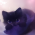 Avatar for asteroid_den from gravatar.com