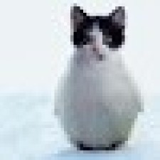Avatar for ThomasSelvig from gravatar.com