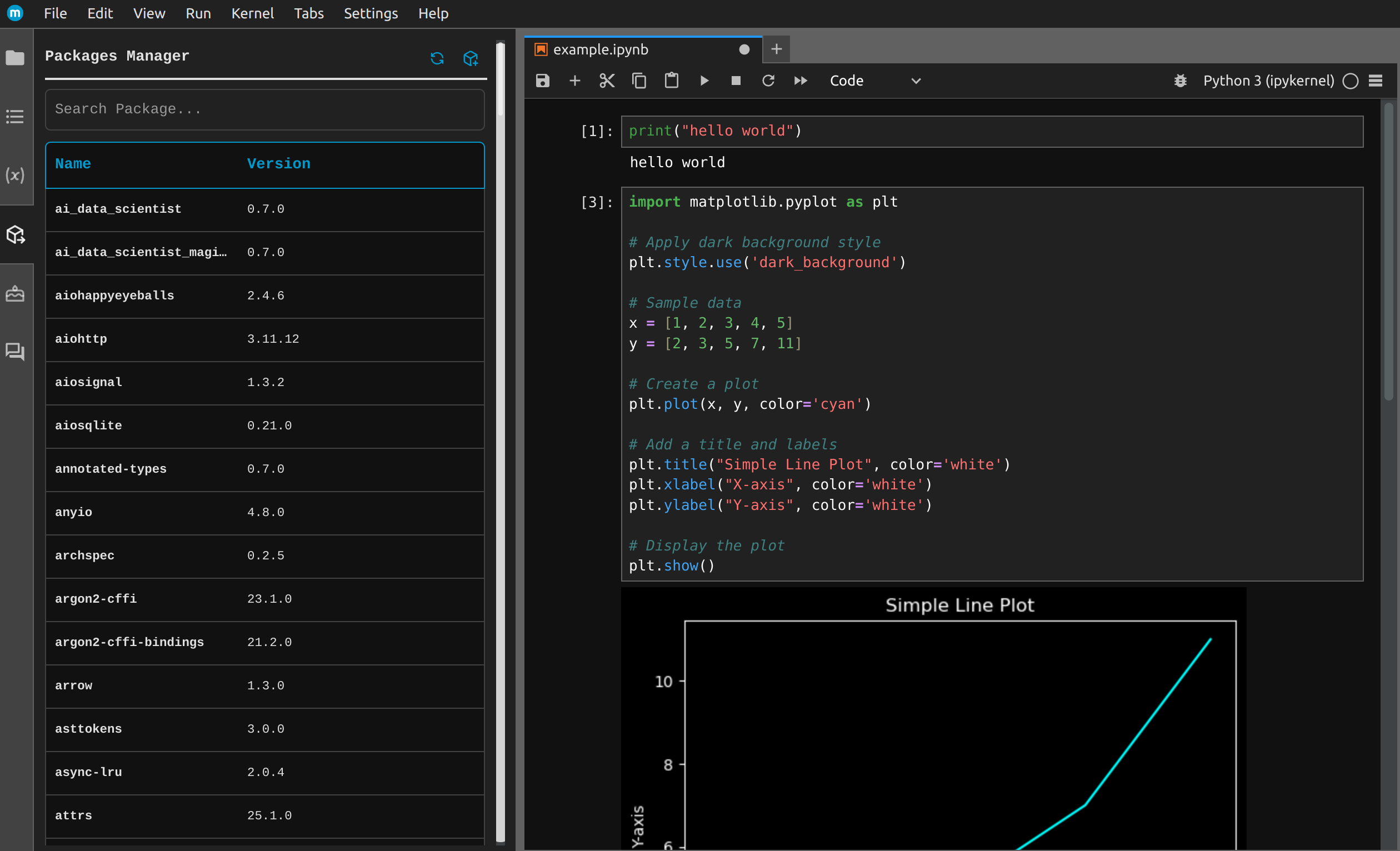 Jupyter package manager pypi