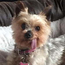 Avatar for Steven Loftus from gravatar.com