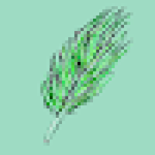 Avatar for Bread from gravatar.com