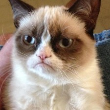 Avatar for Yel G from gravatar.com