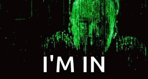 TheMatrixReloadedNeoGIF
