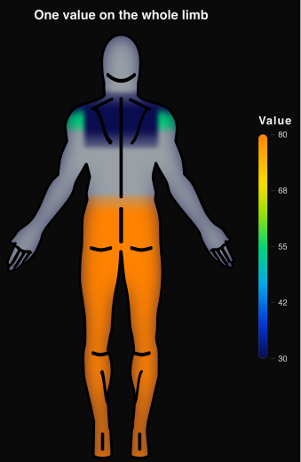 Posterior view with the whole lower limb hot and the upper back cooler