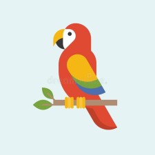 Avatar for Arda from gravatar.com