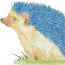 Avatar for Troels Henriksen from gravatar.com