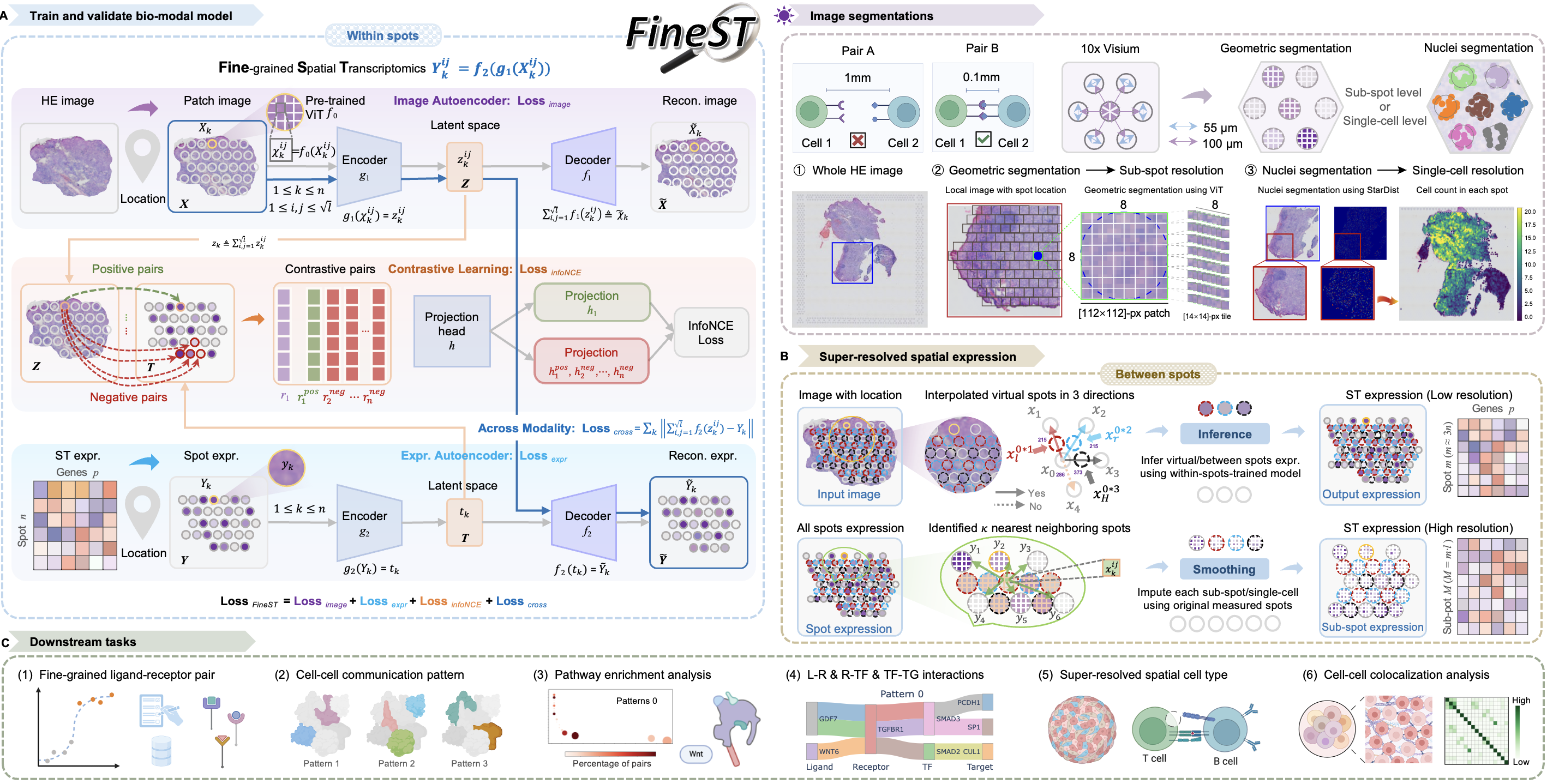 https://github.com/StatBiomed/FineST/blob/main/docs/fig/FineST_framework.png?raw=true