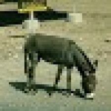 Avatar for Andy Wells from gravatar.com