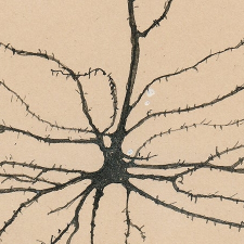 Avatar for David McDougall from gravatar.com