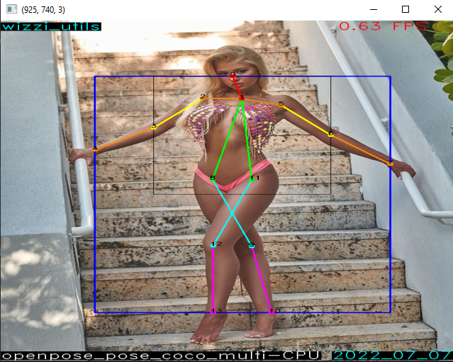 pose estimation img