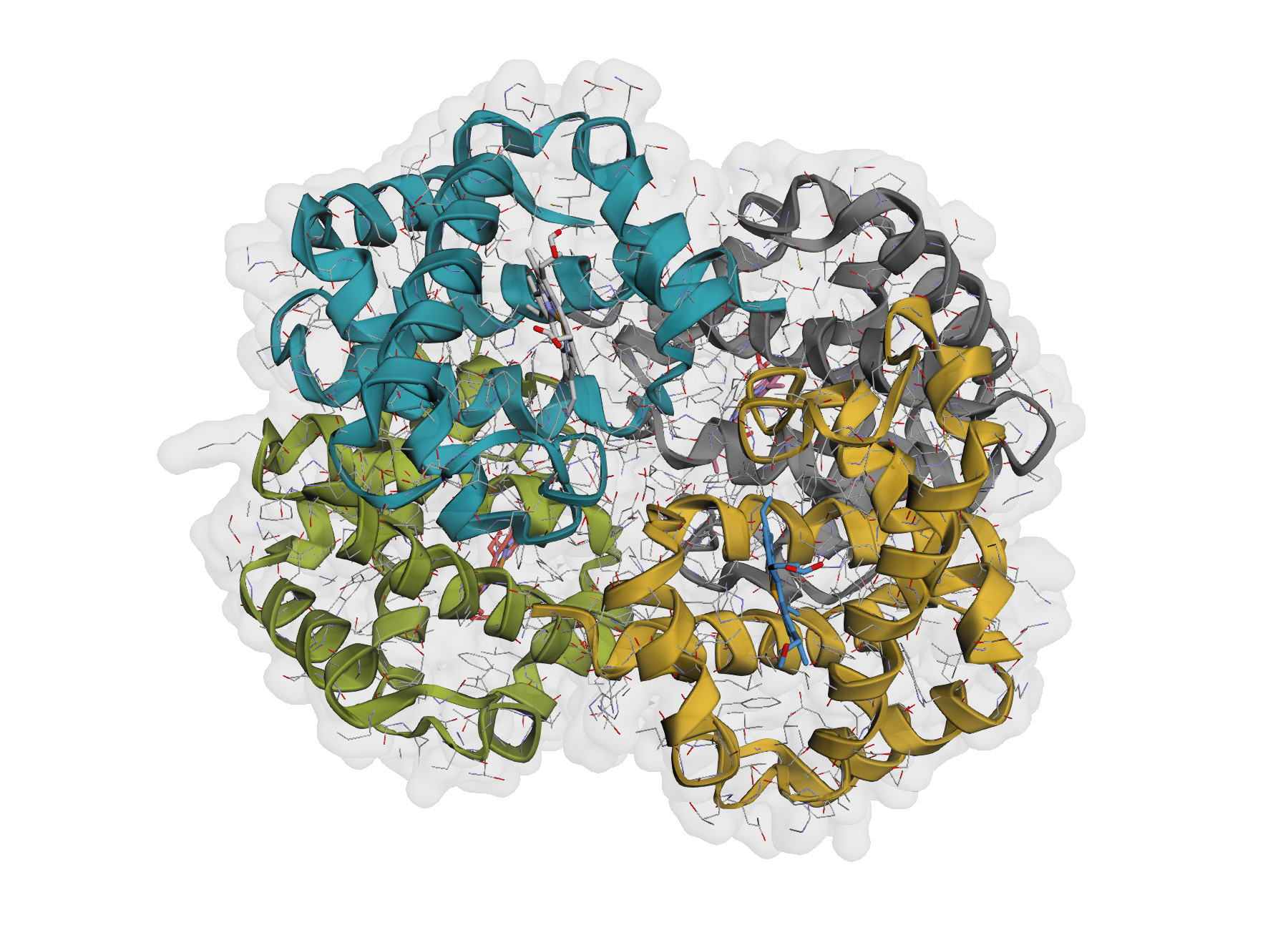 Hemoglobin with translucent molecular surface